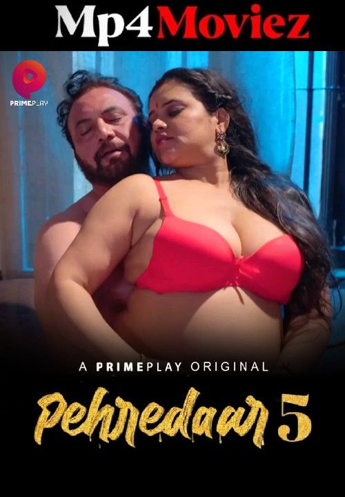 poster of Pehredaar (2023) S05 Part 2 Hindi PrimePlay Web Series