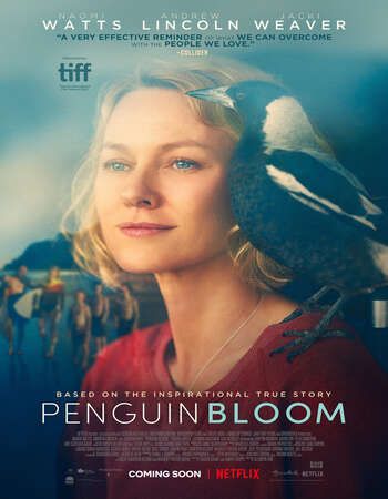 poster of Penguin Bloom (2020) English WEB-DL