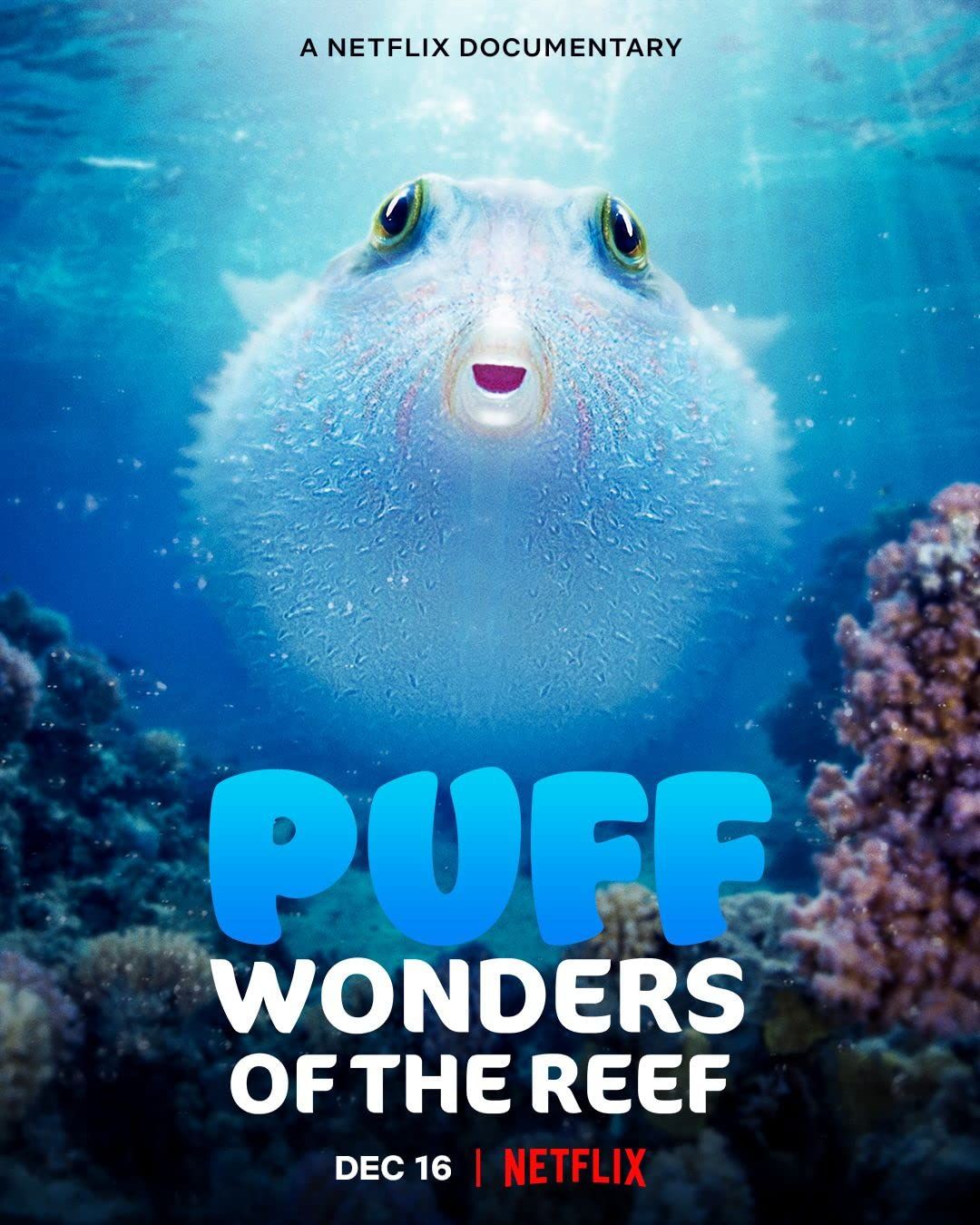 poster of Puff: Wonders of the Reef (2021) Hindi Dubbed HDRip