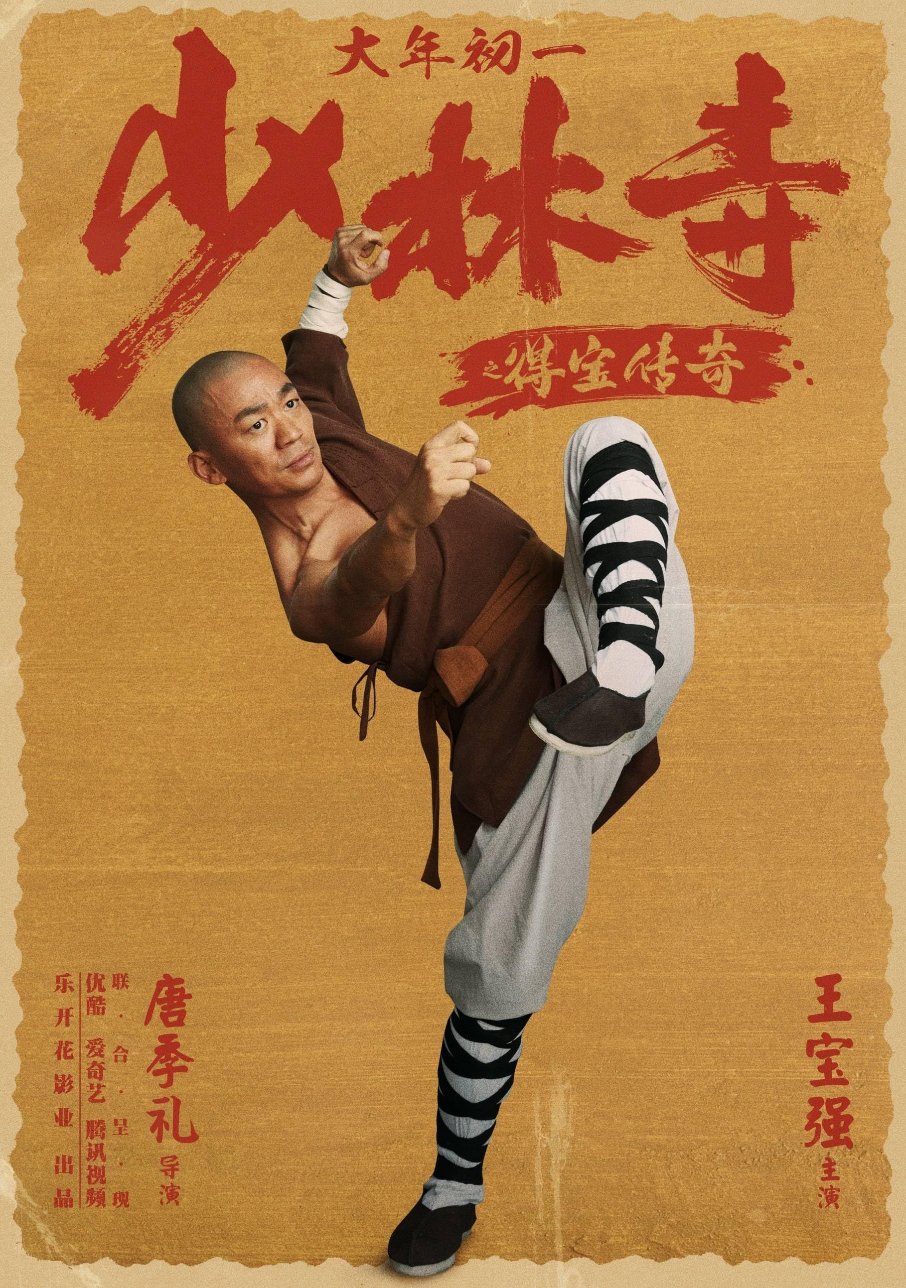 poster of Rising Shaolin The Protector (2021) Hindi Dubbed