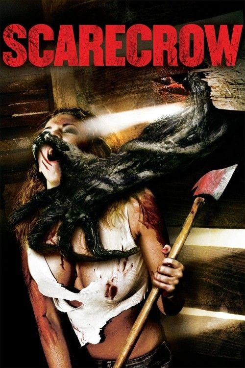 poster of Scarecrow 2013 Hindi Dubbed Movie