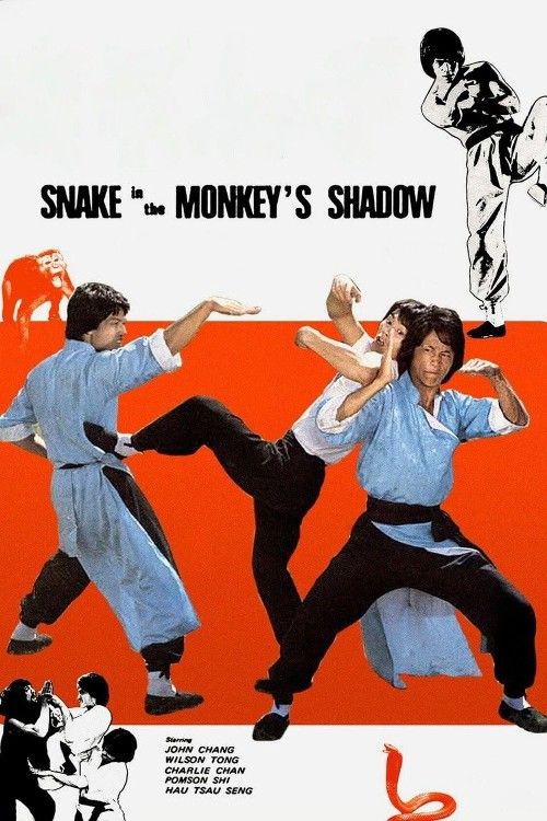 Snake in the Monkeys Shadow (1979) Hindi Dubbed Movie download full movie