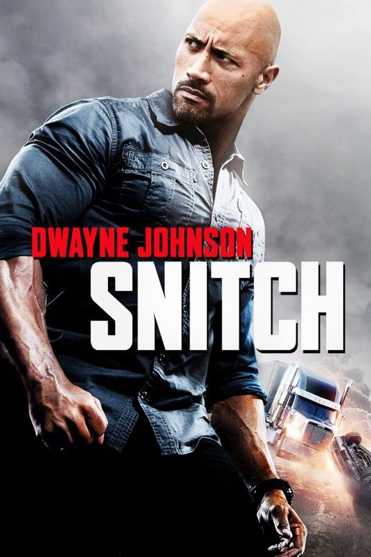 poster of Snitch (2013) Hindi Dubbed BluRay