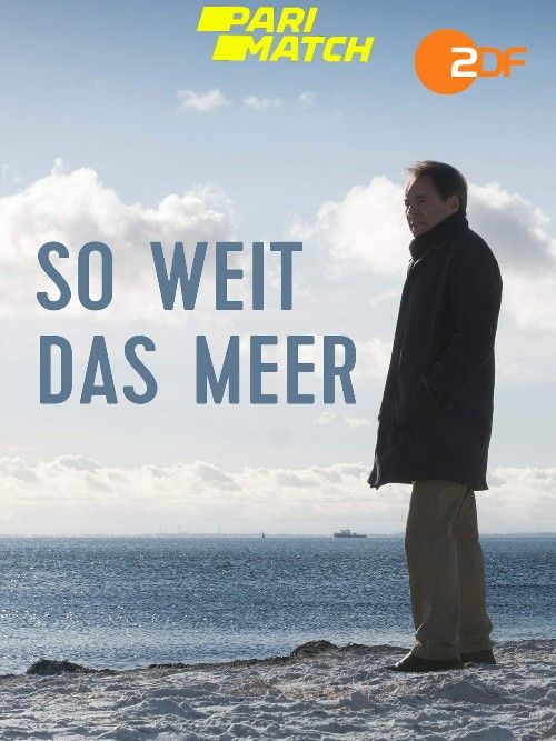 poster of So weit das Meer (2019) Hindi Dubbed (Unofficial) WEBRip