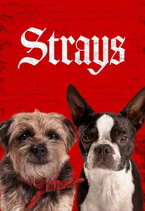 poster of Strays (2023) Hindi Dubbed (ORG) Movie