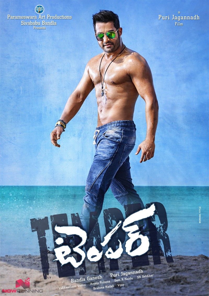 Temper (2015) Hindi Dubbed HDRip download full movie