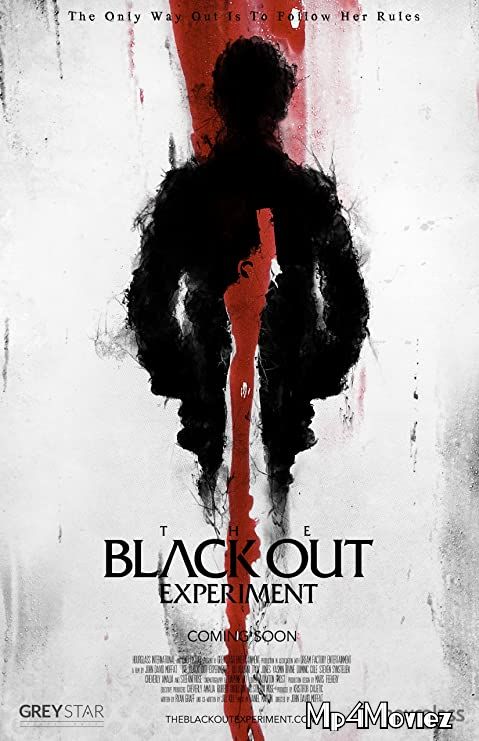 poster of The Blackout Experiment (2021) Hindi (Voice Over) Dubbed WEBRip