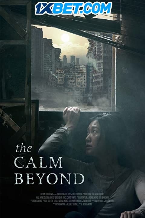 poster of The Calm Beyond (2020) English (With Hindi Subtitles) WEBRip