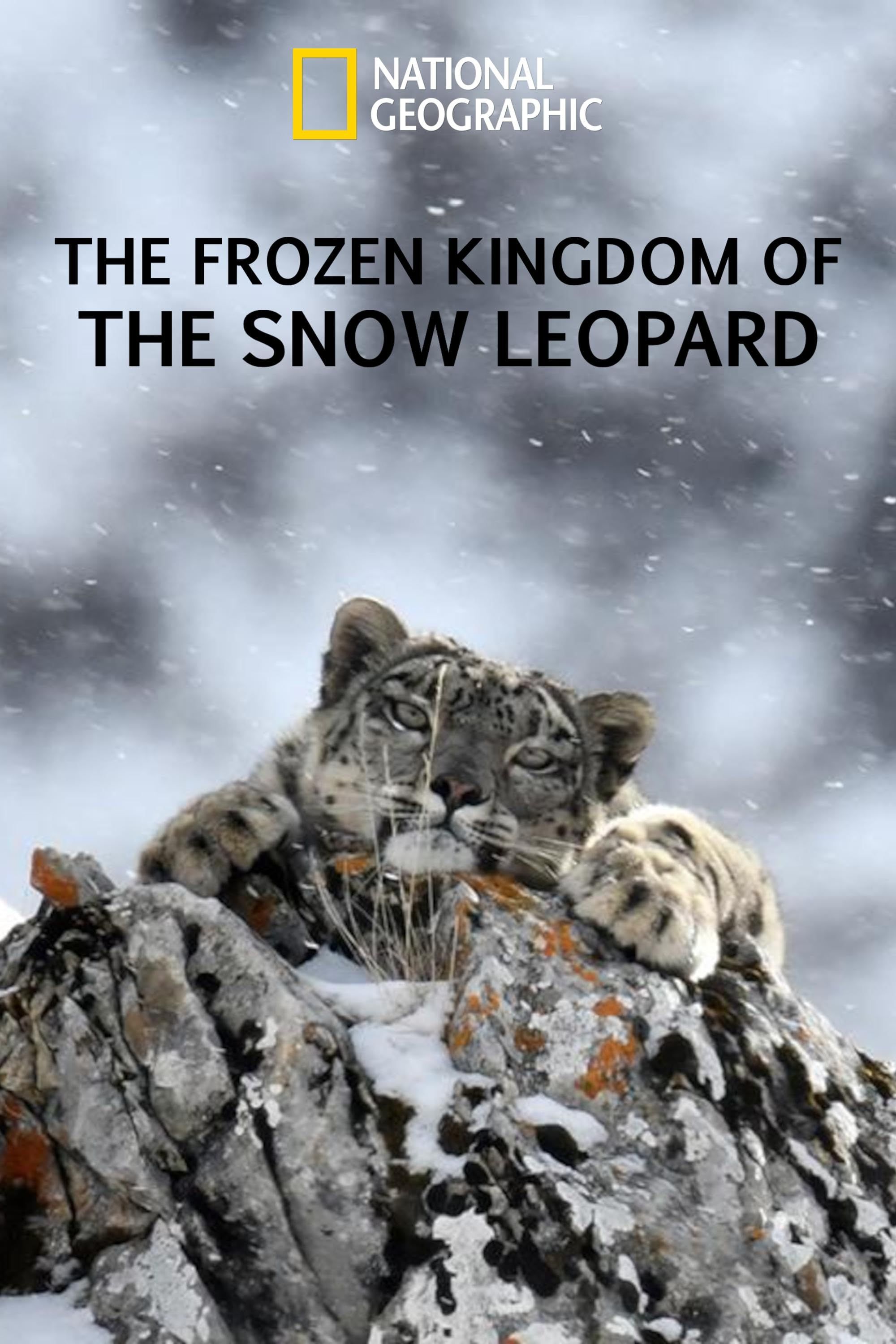 poster of The Frozen Kingdom of the Snow Leopard (2021) Hindi Dubbed Movie