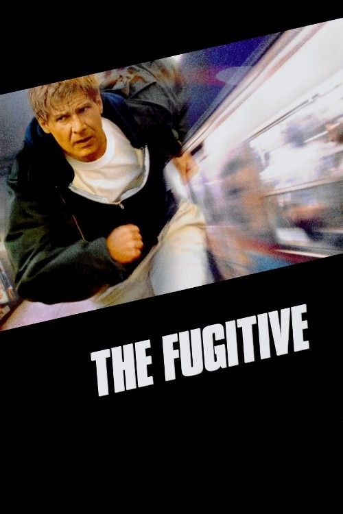 The Fugitive (1993) Hindi Dubbed download full movie