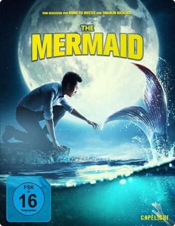 poster of The Mermaid (2016) Hindi ORG Dubbed BluRay