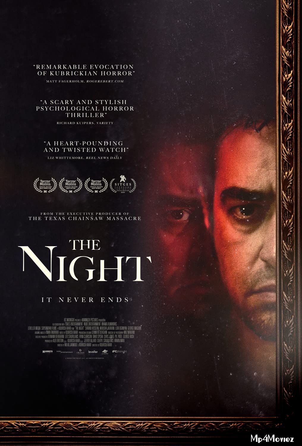 poster of The Night (2020) Hindi (Voice Over) Dubbed WEBRip