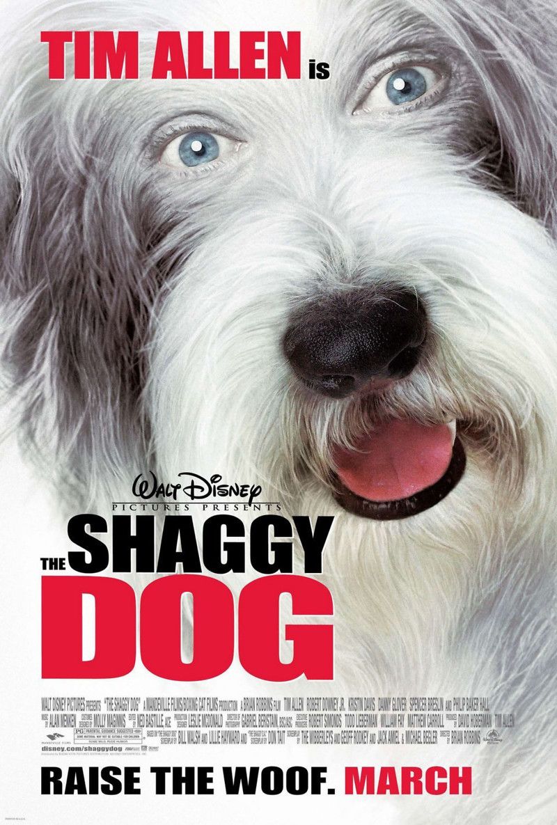 poster of The Shaggy Dog (2006) Hindi Dubbed BRRip