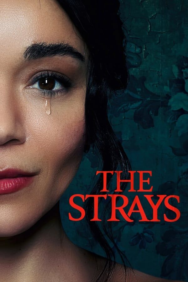 poster of The Strays (2023) Hindi ORG Dubbed NF HDRip