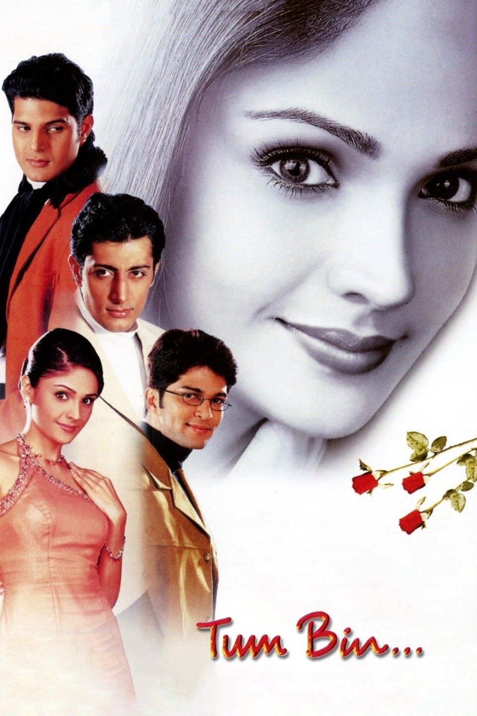 poster of Tum Bin (2001) HDRip