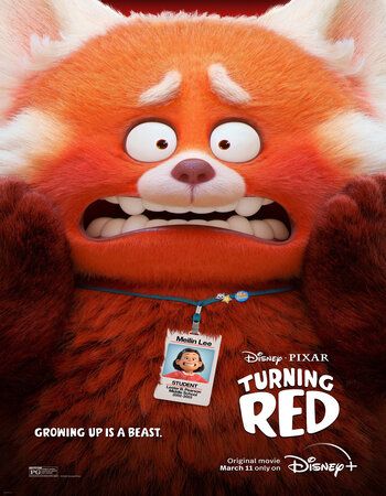 poster of Turning Red (2022) Hindi Dubbed HDRip