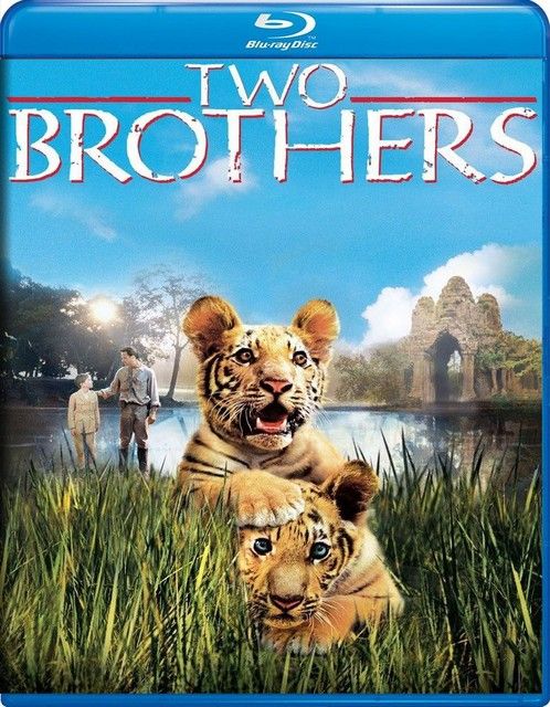 poster of Two Brothers (2004) Hindi Dubbed BluRay