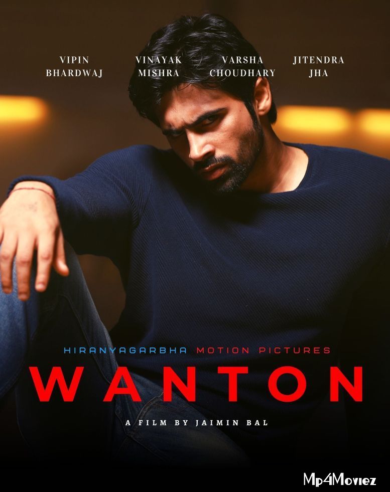 poster of Wanton 2020 Hindi Full Movie