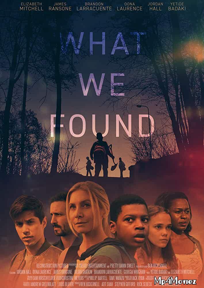 poster of What We Found 2020 English Full Movie