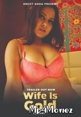 Wife Is Gold (2021) S01 Hindi (Episode 1) Web Series HDRip download full movie