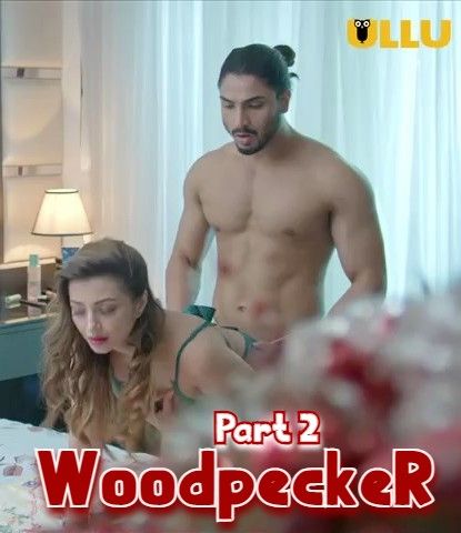 poster of Woodpecker Part: 2 (2021) S01 Hindi Complete Web Series HDRip