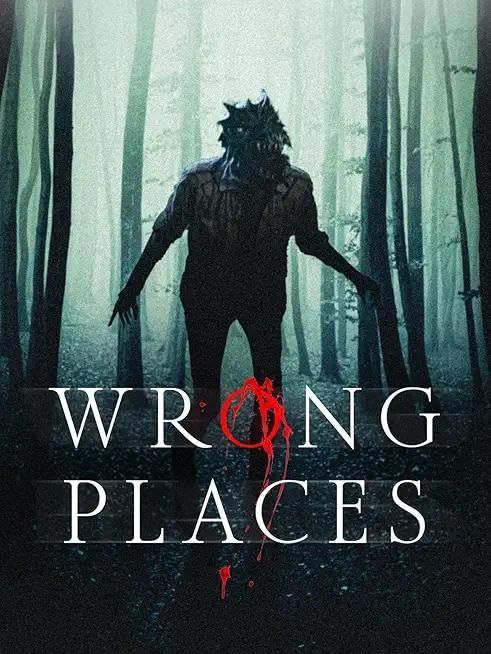 poster of Wrong Places 2024 Hindi (Unofficial) Dubbed