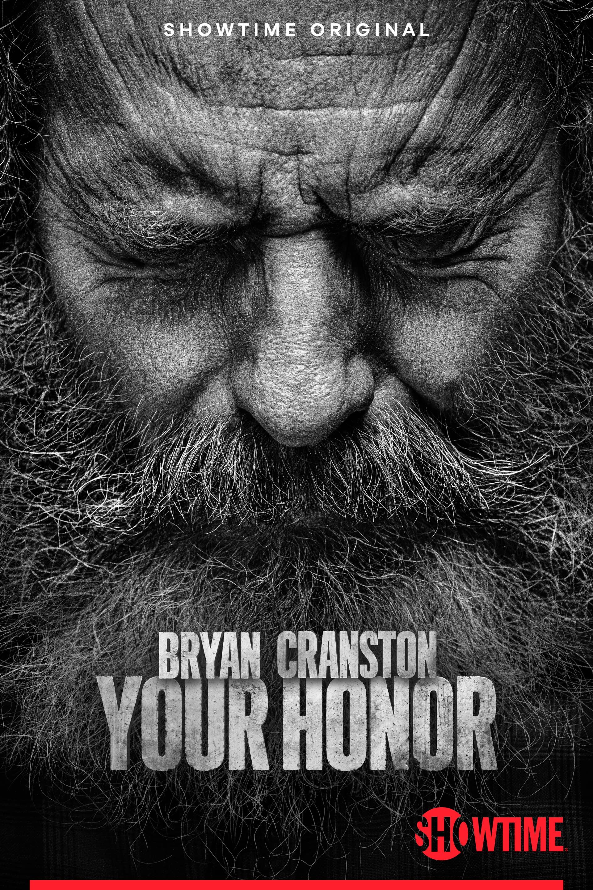 poster of Your Honor (Season 2) 2023 Hindi Dubbed HDRip